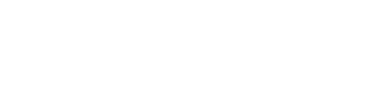 Despark White Logo