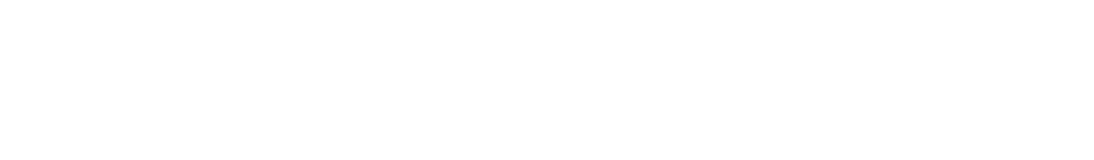 Promo International Logo